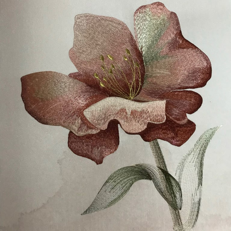 Ngắm Hoa Trong Sương